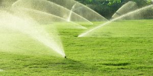 KSS Thailand Lawn Garden Sprinkler Systems Rain Water Collection
